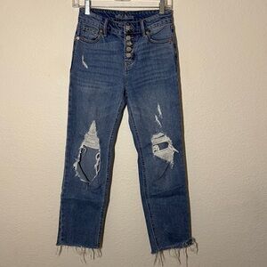 Women's Wild Fable Distressed High Rise Straight Leg Jeans Size 0